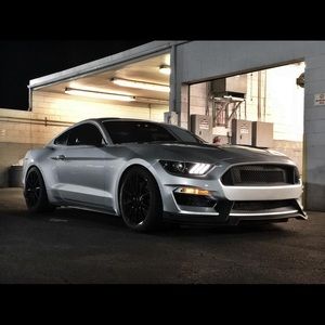 Meet your Posher, Randy